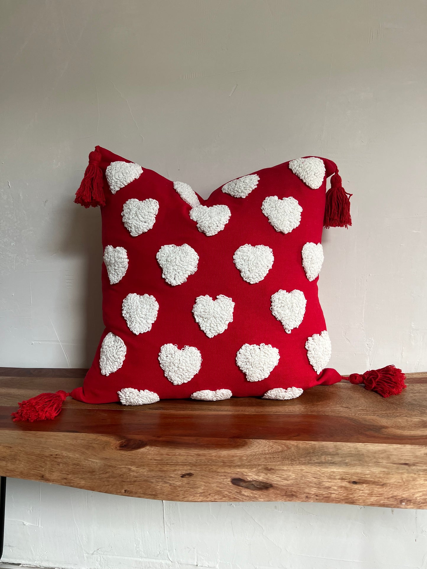 Valentines Day Throw pillow cover, 18x18 inch